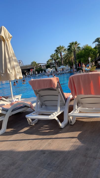 Pool Hotel Delphin Imperial