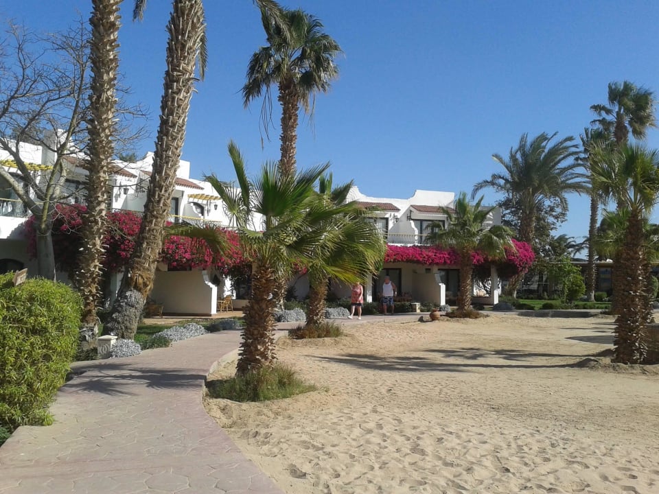 Einfach entspannend Lotus Bay Beach Resort