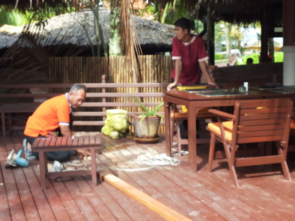 Klopfen und elektr. Säge Khaolak Laguna Resort