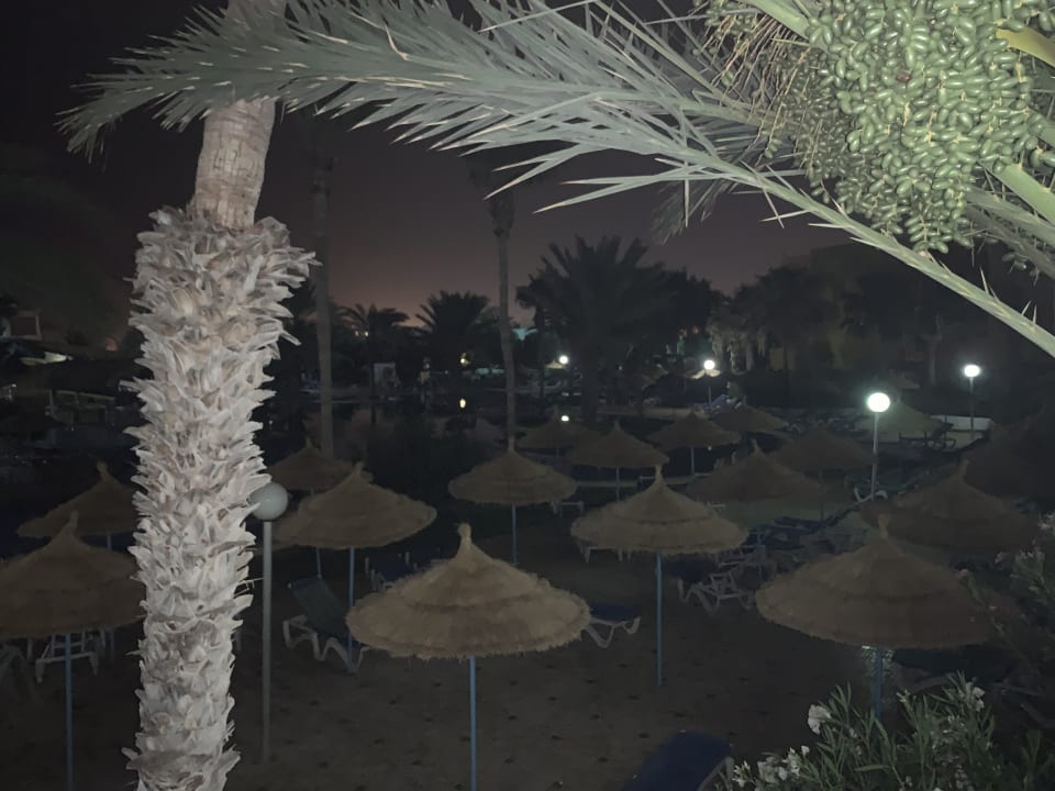 Ausblick Caribbean World Thalasso Djerba