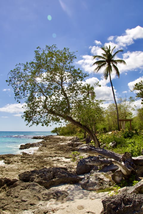 Ausblick Dreams La Romana Resort & Spa