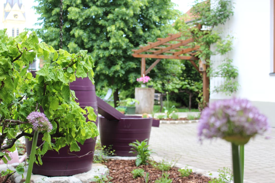 Gartenanlage Achs-Wendelin Weine und Gästehaus