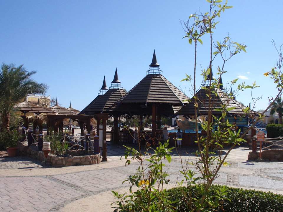 Bar przy basenie Hotel El Faraana Reef Resort