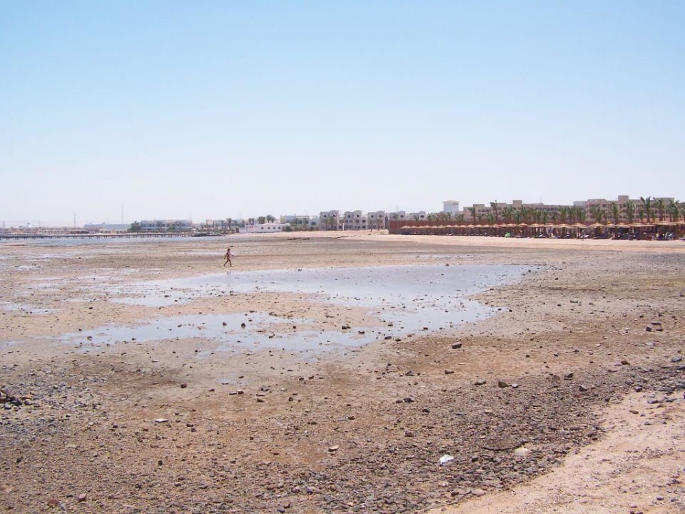 Rechter Strandabschnitt Beach Albatros Resort
