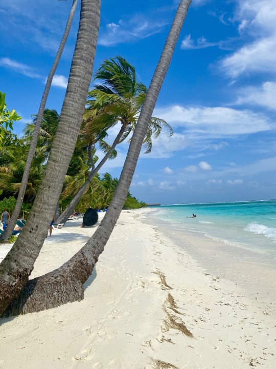 Strand Meeru Maldives Resort Island