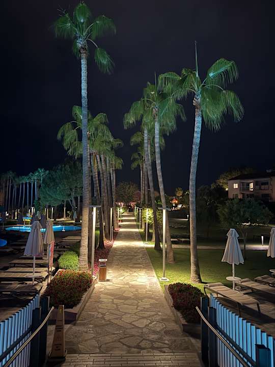 Gartenanlage Arum Barut Collection