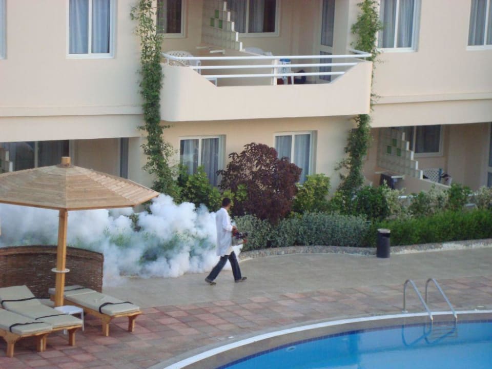 Insektenbekämpfung Golden Beach Resort