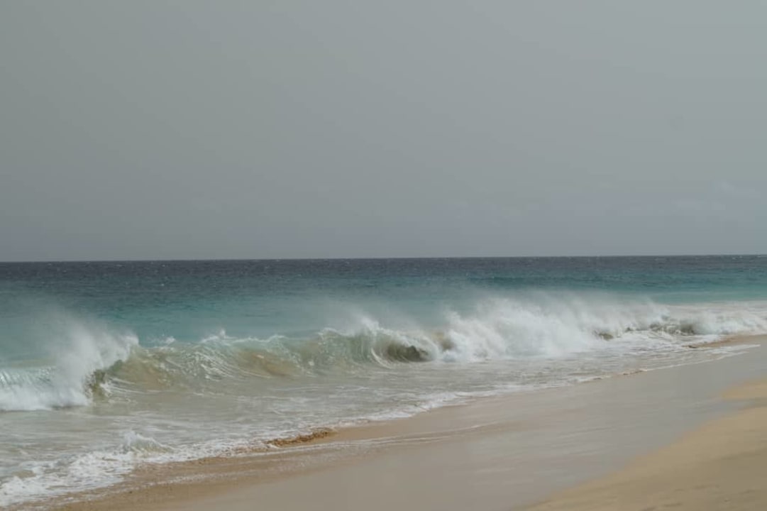 Na plaży Oasis Salinas Sea