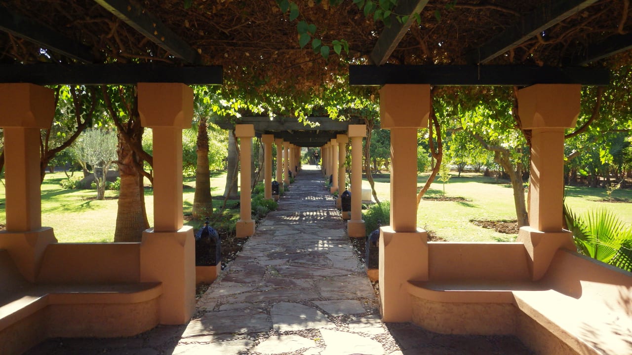 Zum Ausgang Hotel Riu Tikida Garden - Adults Only