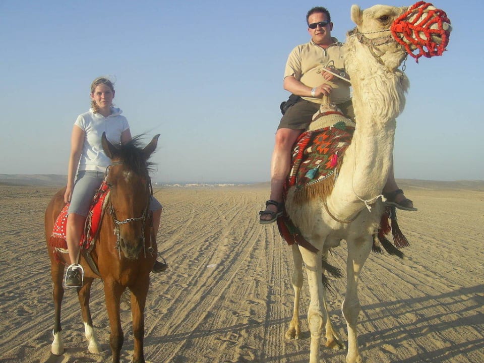 Abendausritt Pickalbatros Alf Leila Wa Leila Resort - Neverland Hurghada