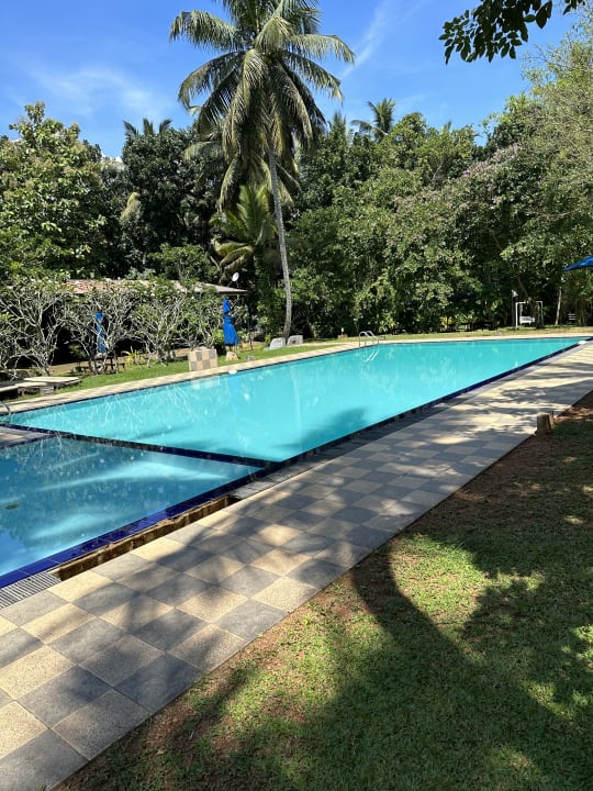 Pool Oreeka Hotel