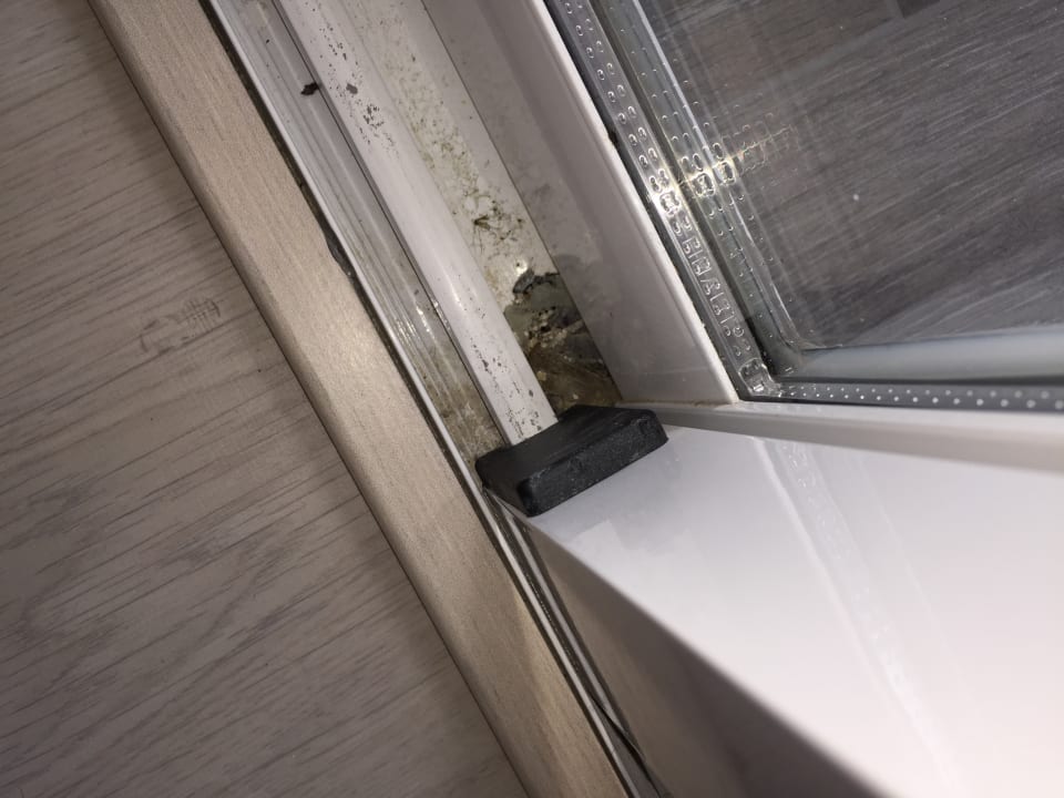 Zimmer Alcudia Garden Aparthotel