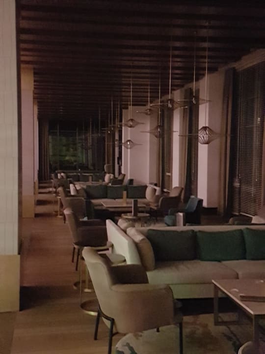 Gastro Acanthus Cennet Barut Collection