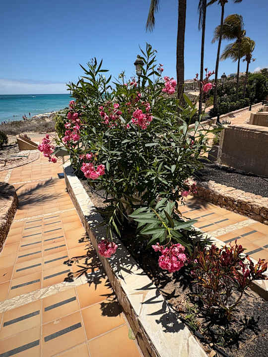 Außenansicht SBH Hotel Taro Beach