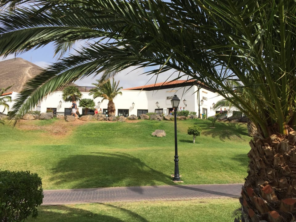 Gartenanlage mit Blick auf Restaurant TUI MAGIC LIFE Fuerteventura