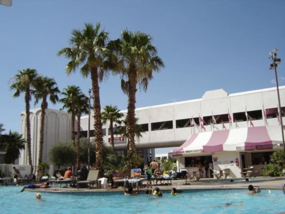 Pool Hotel Circus Circus