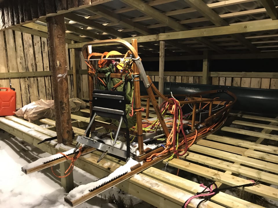 Sport & Freizeit Wild Caribou Dome