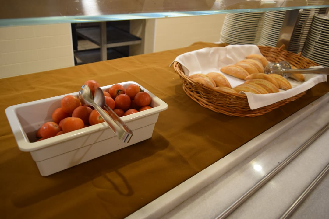 Gastro Alberg Abat Oliba