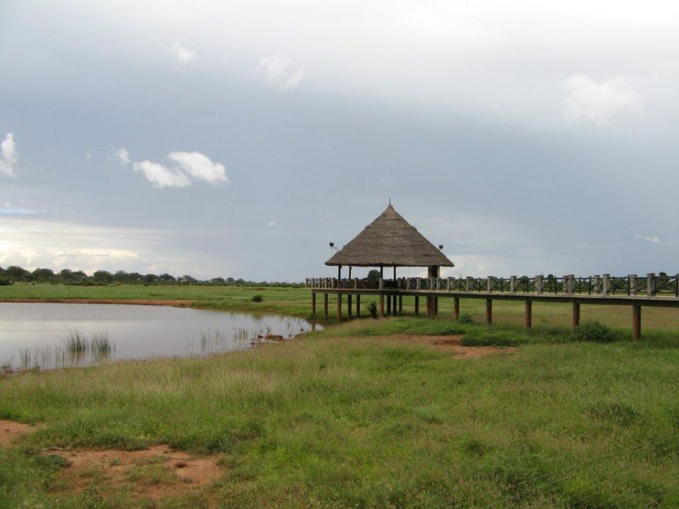Steg zum Wasserloch Voi Wildlife Lodge