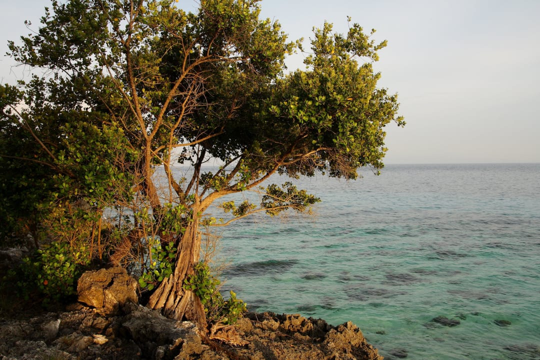 Insel kann man in 1h umrunden zu Fuss Hotel Sumilon Bluewater Island Resort