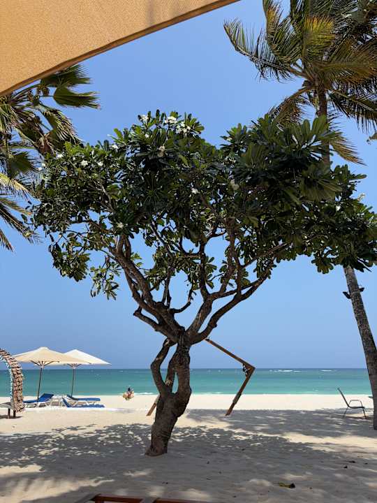 Strand Hotel Southern Palms Beach Resort