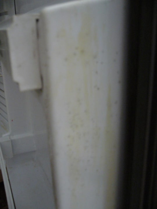 Kühlschrank Regina Resort and Aqua Park Hurghada