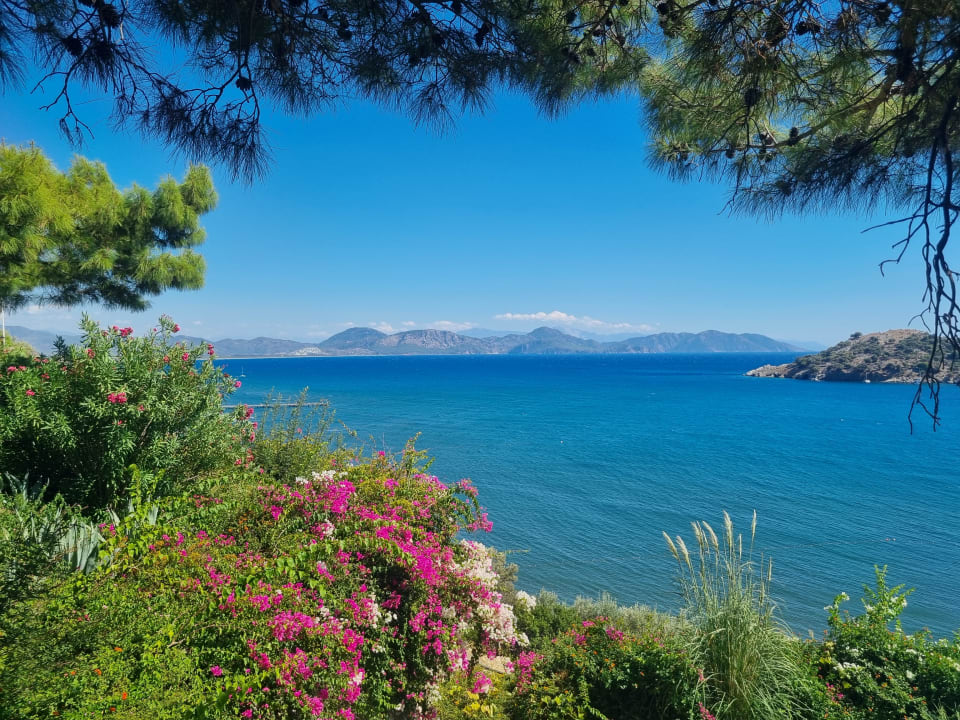 Ausblick TUI BLUE Seno - Adults Only