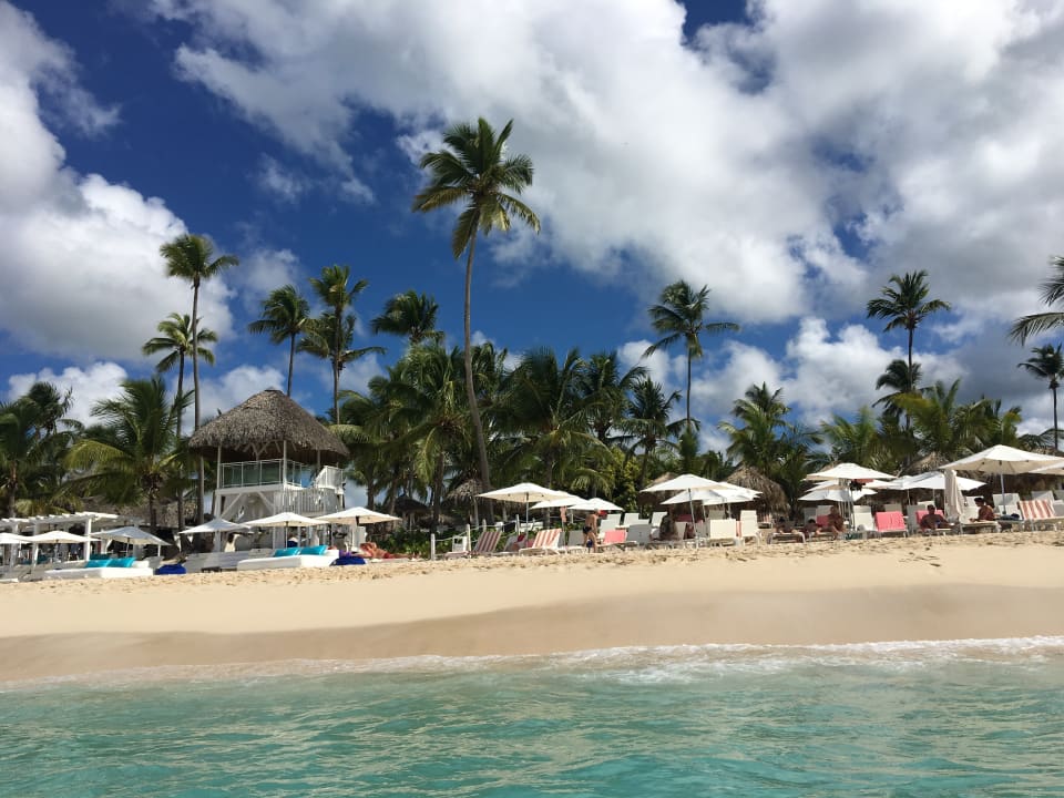 Strand Catalonia Royal La Romana - Adults only