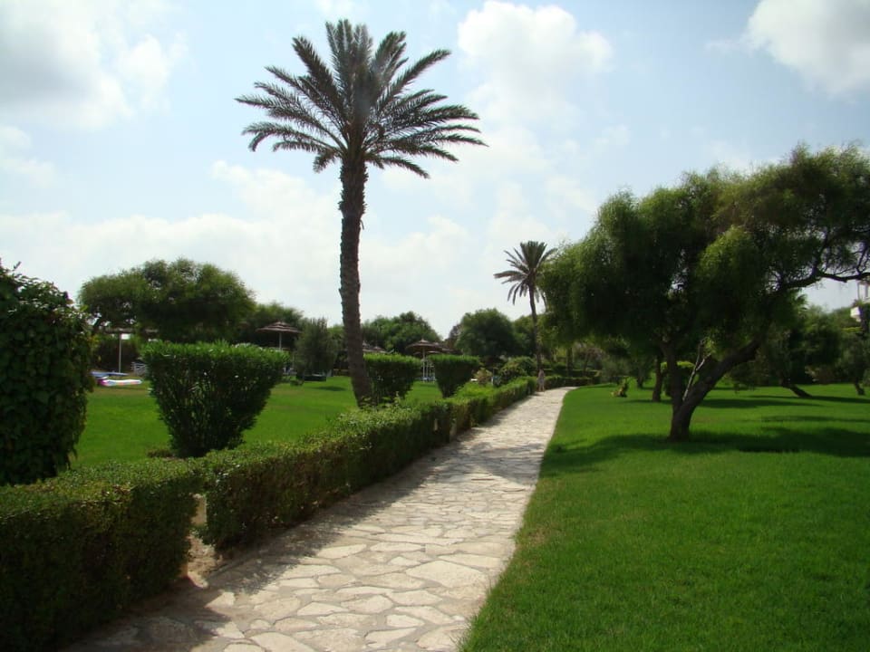 Ogród Mahdia Palace Thalasso