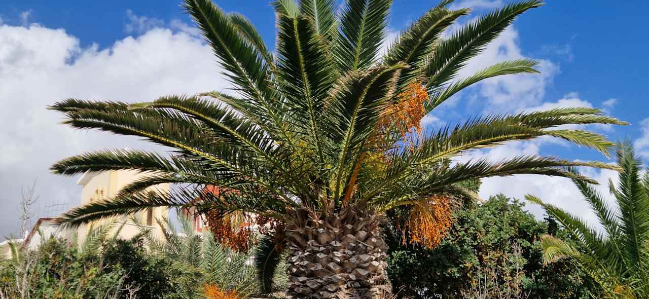 Sonstiges Hotel Petra Mare