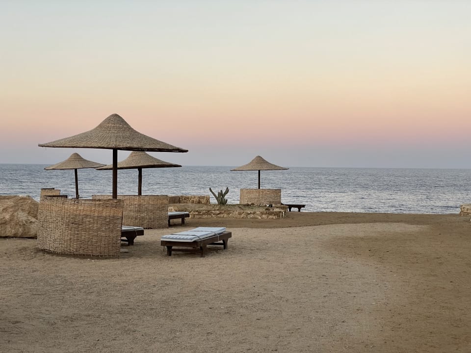 Strand The Oasis Dive Resort