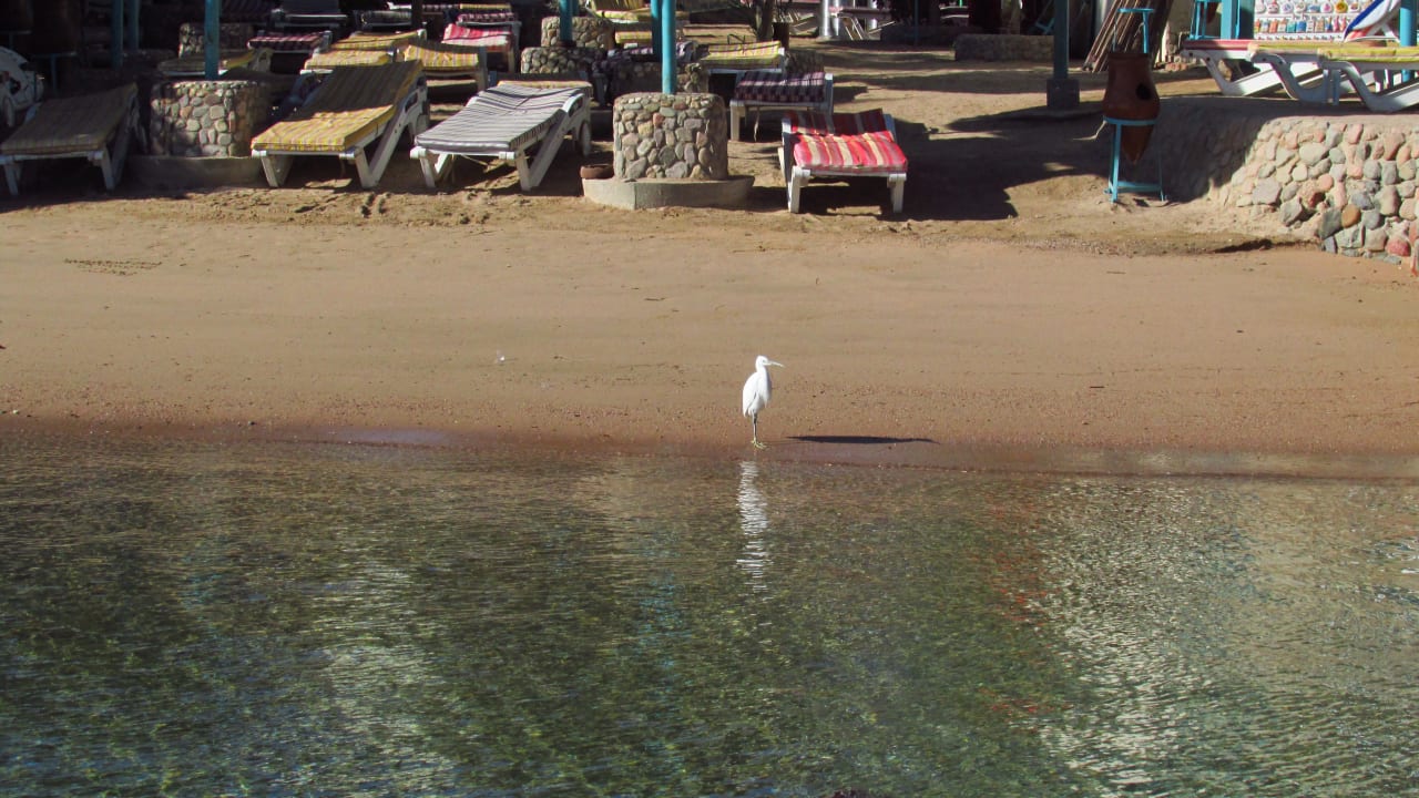 Strand Bella Vista Resort Hurghada