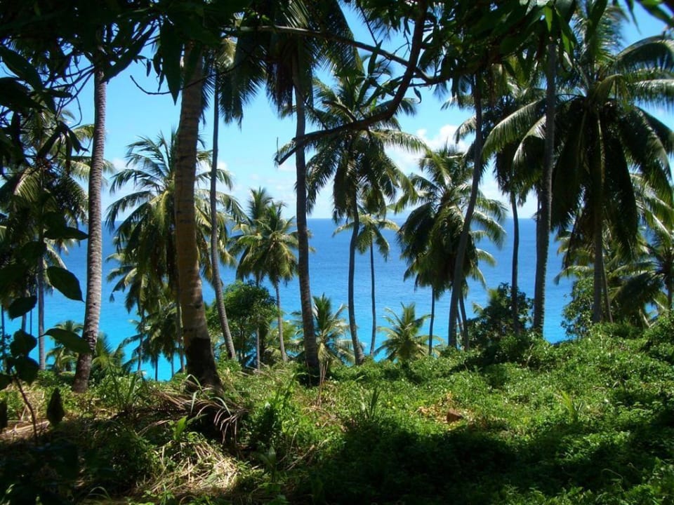 Aussicht Fregate Island Private