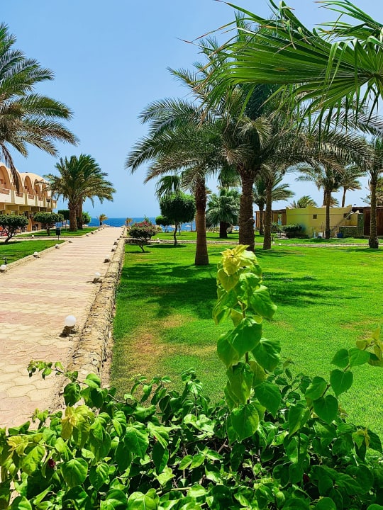 Gartenanlage Three Corners Sea Beach Resort