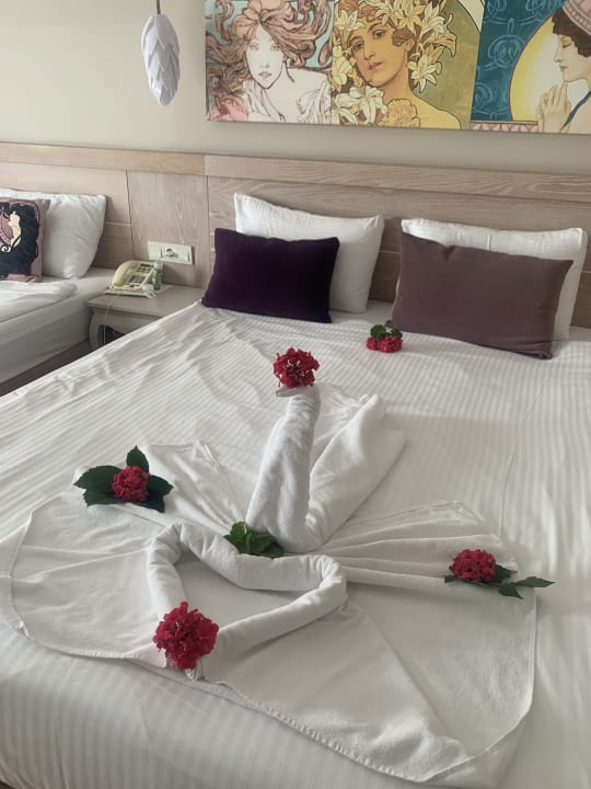 Zimmer Seaden Sea Planet Resort & Spa