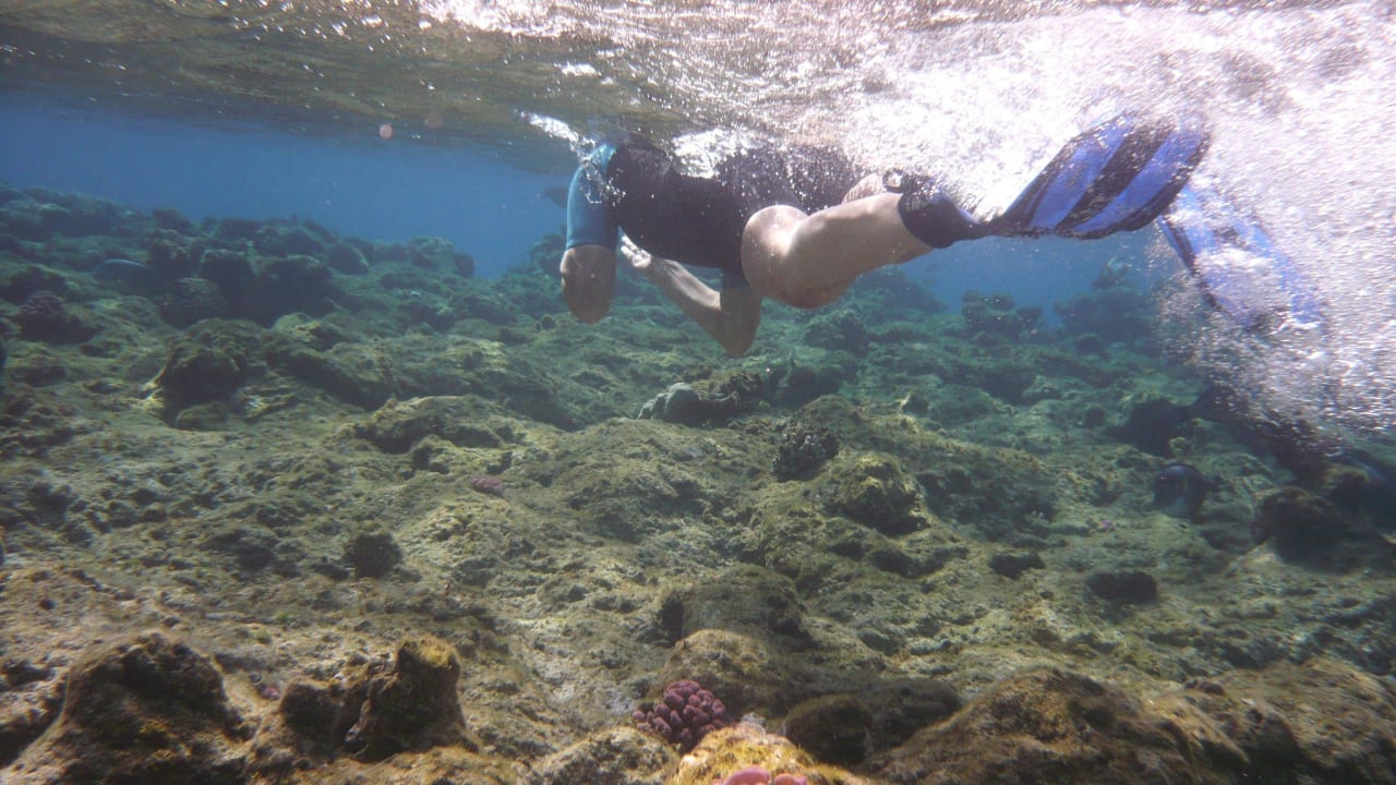 Passage zum Riffhang 3 Hotel Gorgonia Beach Resort