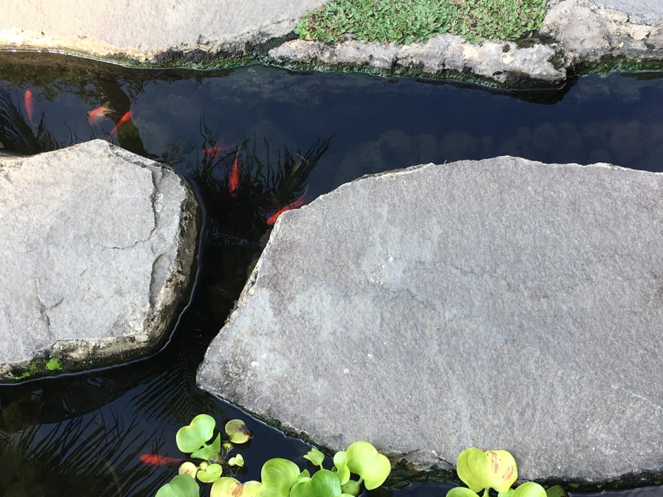 Gartenanlage The Udaya Resorts and Spa