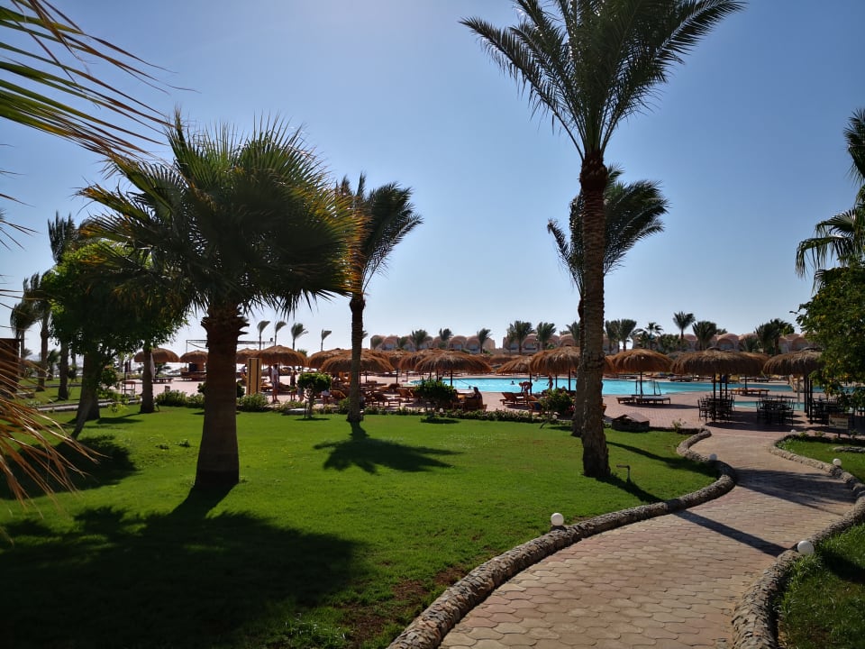 Pool Three Corners Sea Beach Resort