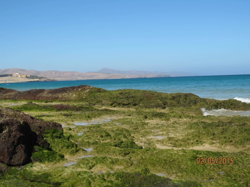 Strandspaziergang bei Ebbe SBH Crystal Beach Hotel & Suites