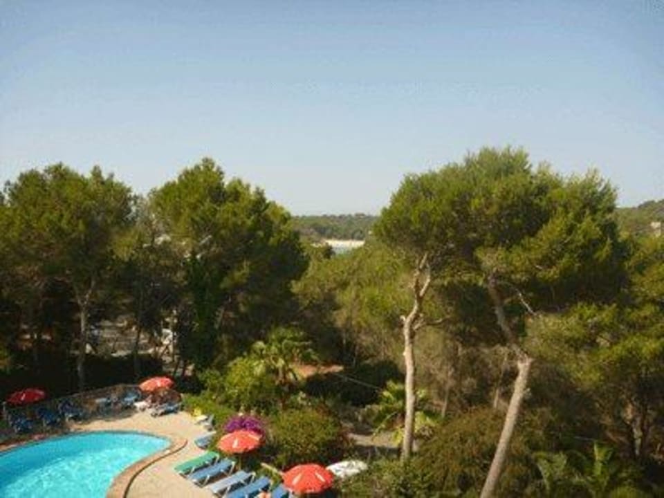 Pool mit kleinem Fetzen Meer Hotel Condemar