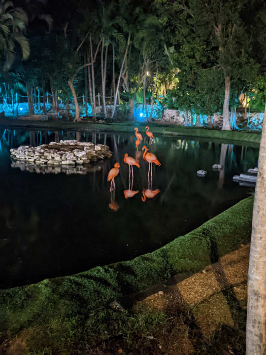 Gartenanlage Grand Palladium Select White Sand Resort & Spa