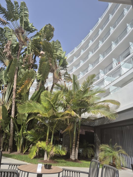 Gartenanlage Hotel Riu Palace Palmeras