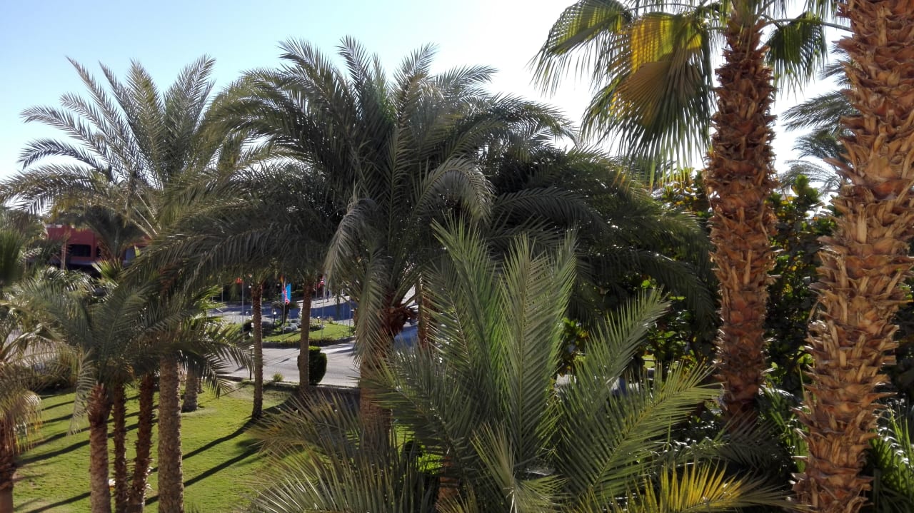 Ausblick Bel Air Azur Resort - Adults only