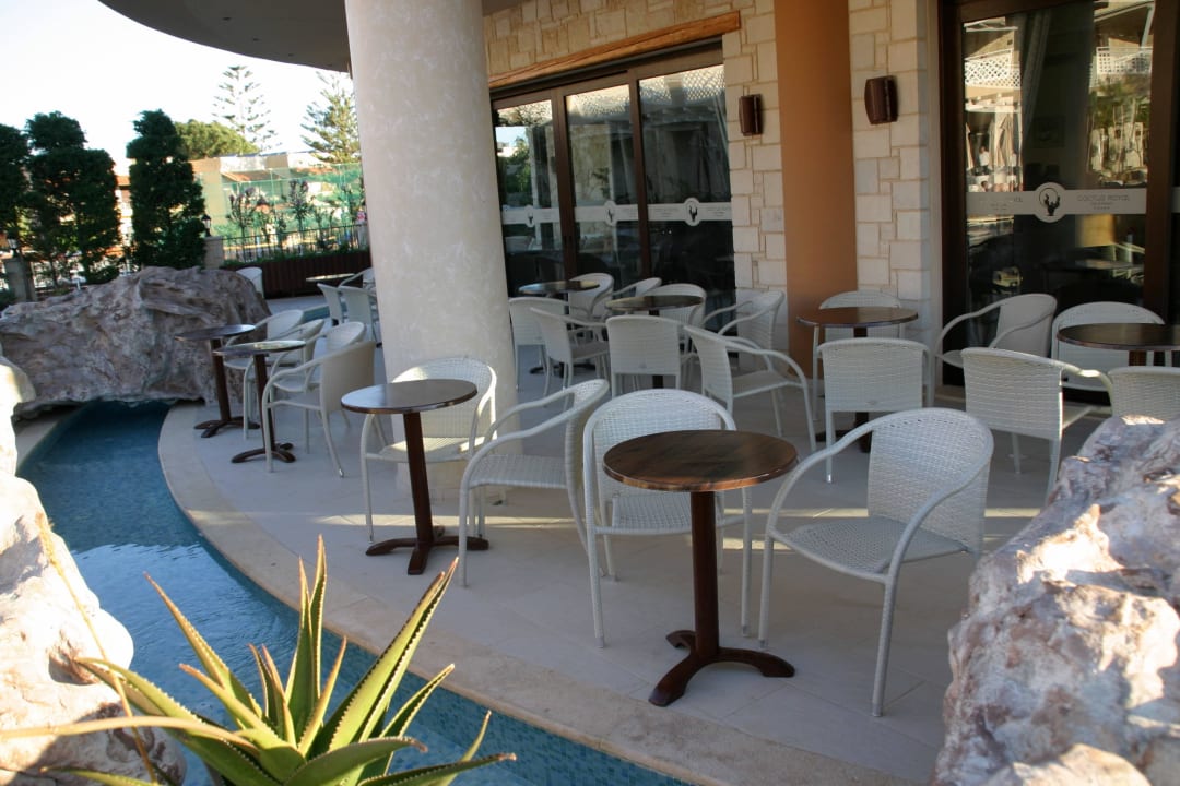 Hauptbar Cactus Royal