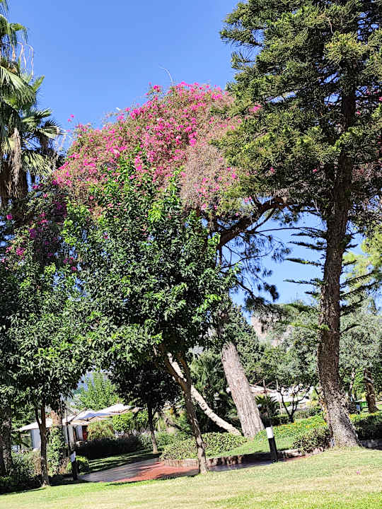 Außenansicht TUI MAGIC LIFE Beldibi +16