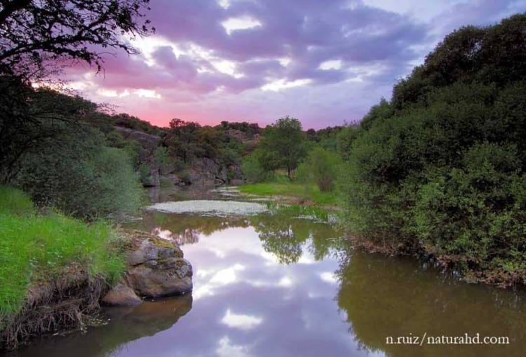 Garden Rusticae Hotel Molino de los Gamusinos
