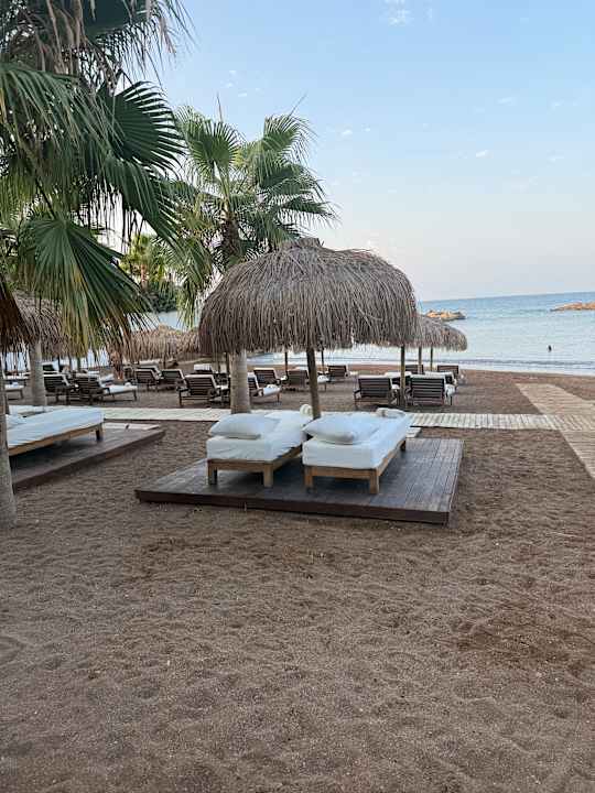 Strand Rubi Platinum Sign