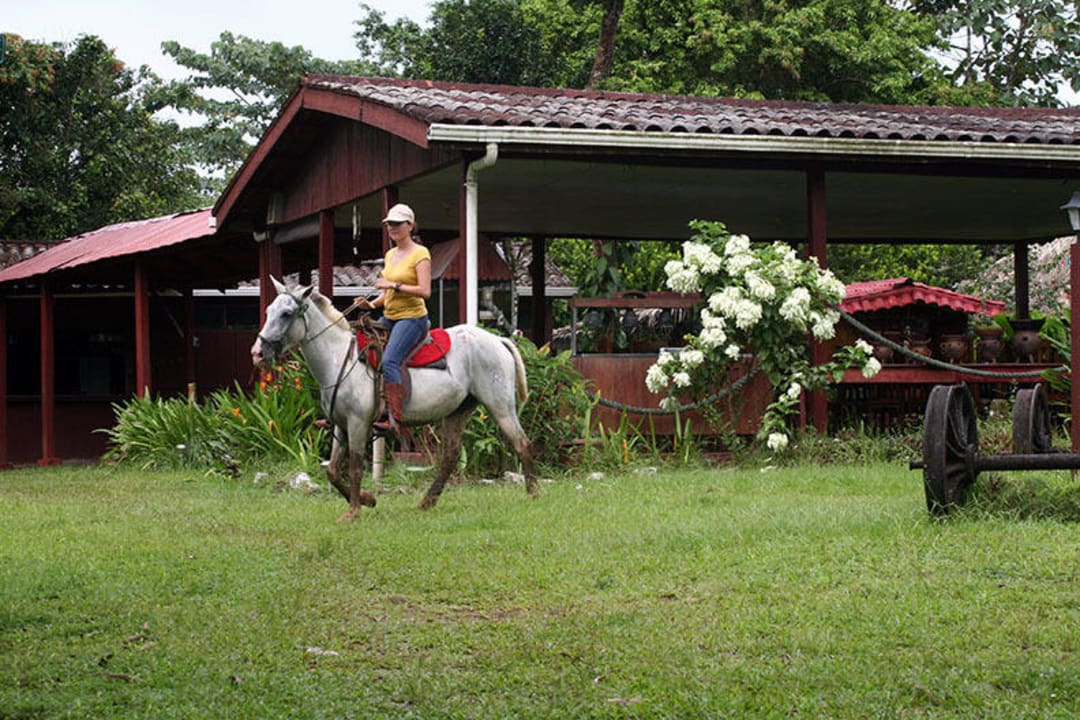 Lista para salir de paseo en caballo Montecristo River Lodge