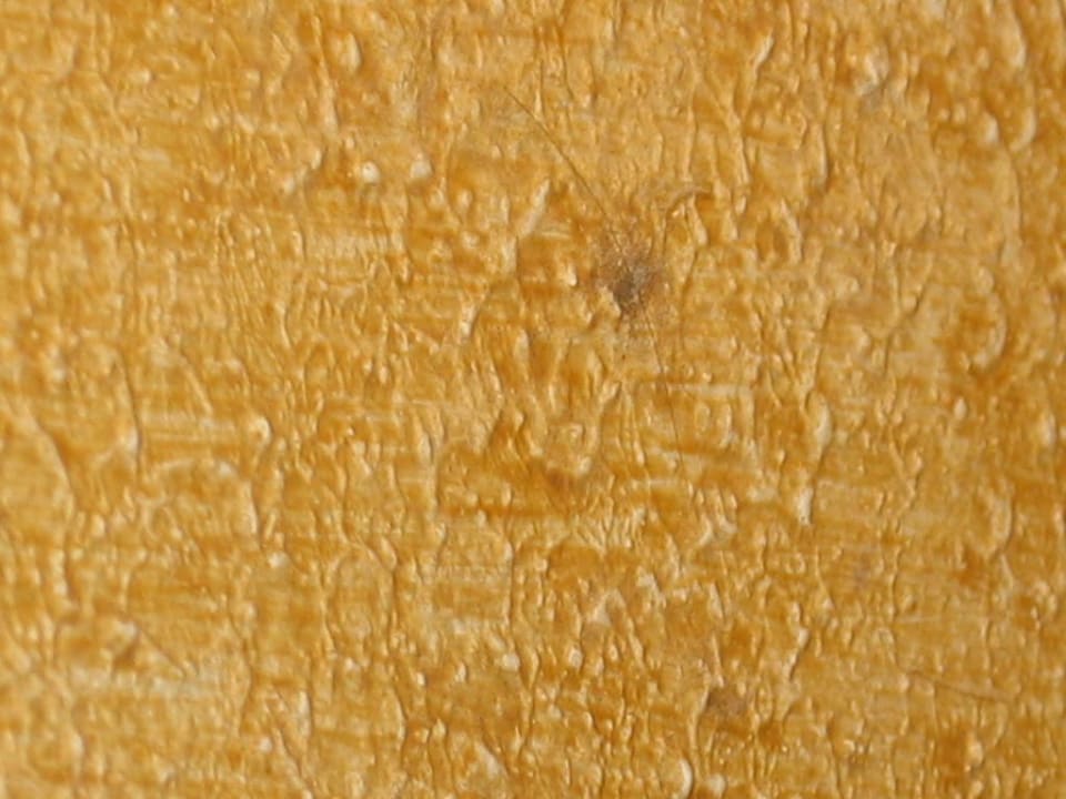 Schimmel Iberostar Origin Playa Alameda