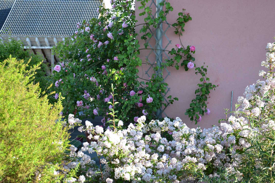 Blumenmeer Ferienwohnung Arden